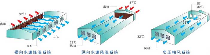 ������άƤ��ʽ��ѹ������ϵͳʾ��ͼ