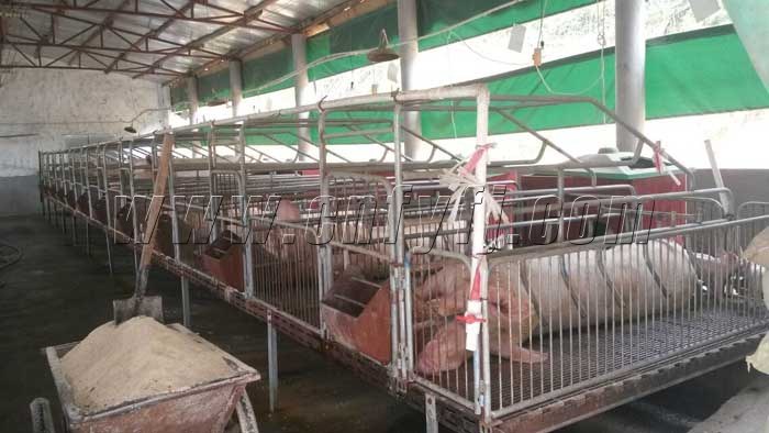 ��ɽ��̩������������ʵ��