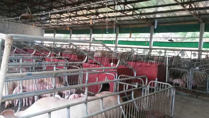 ��ɽ��̩������ĸ����ʵ��