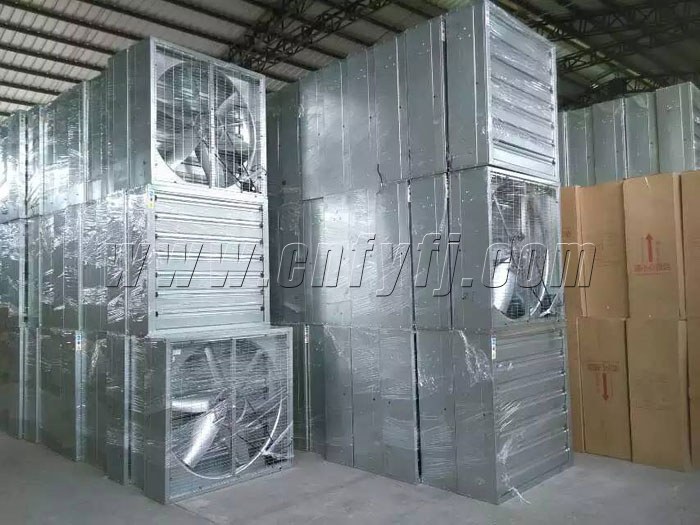 ����������ר��900���ŷ��