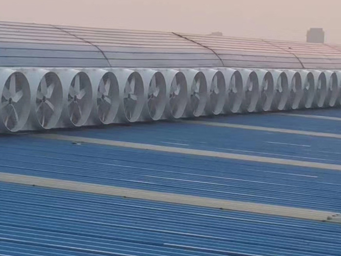 ���ȷ����ǰ�װ����