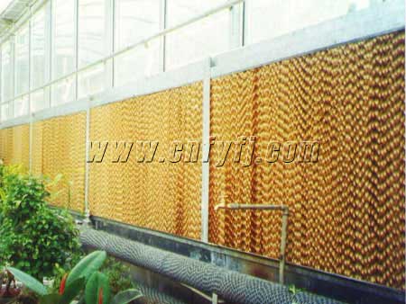 ����ˮ�����±�ʪ����